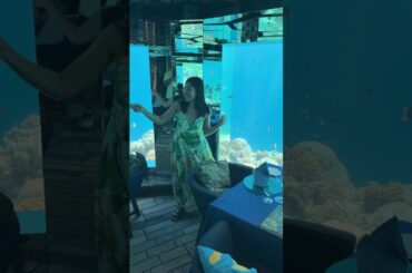 📍SEA Underwater Restaurant, Anantara Kihavah Maldives #dailyvlog #travel #dining