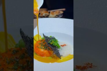 High end dishes from Michelin star restaurants.  #shortsviral