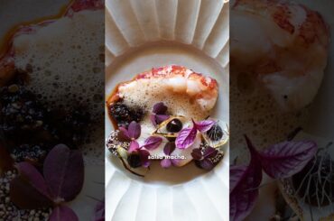 The Best New Restaurant | Robb Report's Best of the Best 2026