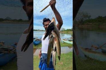 Catch & Cook: Monster Snakehead in the Wild!😋 #food #viral #trending #yummy #cooking