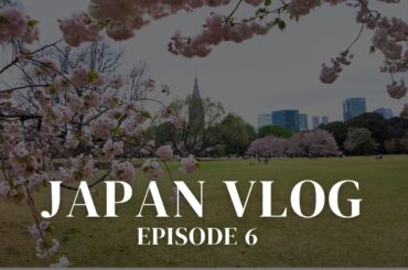 Japan Vlog Finale: Fine Dining, TeamLabs & Baseball