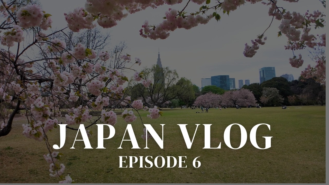 Japan Vlog Finale: Fine Dining, TeamLabs & Baseball Japan Vlog Finale: Fine Dining, TeamLabs & Baseball