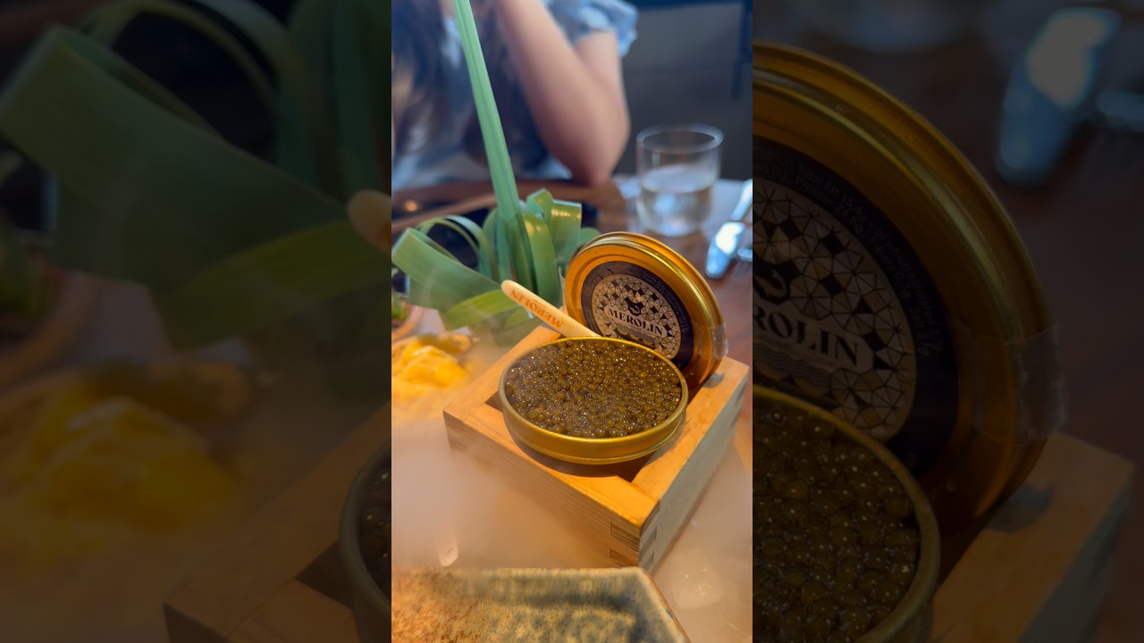 Our Introduction To Fine-Dining In Miami! Our Introduction To Fine-Dining In Miami!