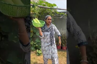 Bachhon Ki Na Pasand #food #cooking #villagekitchen #lauki #sunilpalvlogs
