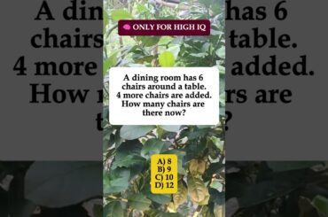 🪑Dining Room: 6 Chairs + 4 More Added – Total? #shorts #iqvistax