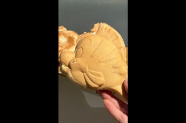 Stove-Top Taiyaki 🥞🐠