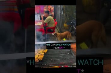 Restaurant owner surprised a hungry dog watching customers eat🥹🐶❤️ #dogs #wholesome #animals