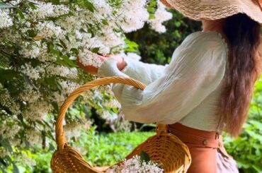 5 Edible Flowers | Garnish like a Fine Dining Restaurant