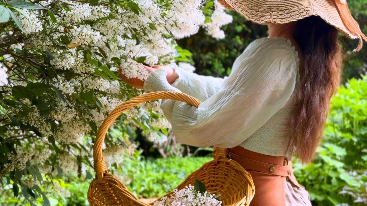 5 Edible Flowers | Garnish like a Fine Dining Restaurant 5 Edible Flowers | Garnish like a Fine Dining Restaurant