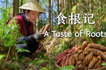 Roots on the Table Collection | Flavors Hidden in the Soil【滇西小哥】