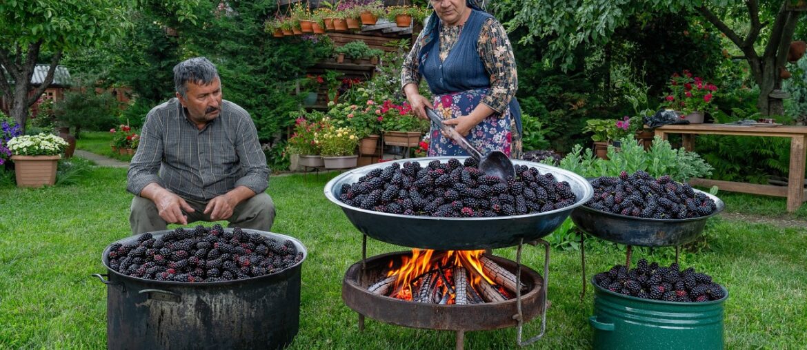 Village Cooking – Black Mulberry Harvest & One-Ingredient Winter Syrup 🍇🌿