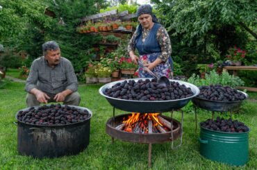 Village Cooking – Black Mulberry Harvest & One-Ingredient Winter Syrup 🍇🌿