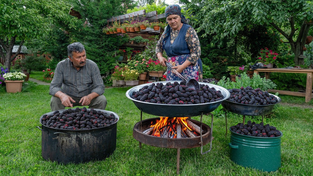Village Cooking – Black Mulberry Harvest & One-Ingredient Winter Syrup 🍇🌿 Village Cooking – Black Mulberry Harvest & One-Ingredient Winter Syrup 🍇🌿