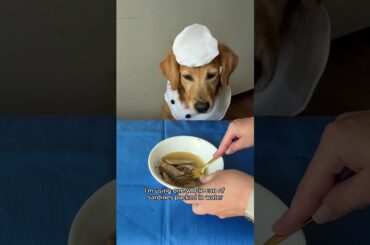✨ POV: Your dogs are getting the fine dining experience they deserve.