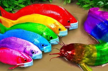 Best Of Small Fish Recipe | MINIATURE Fish Cooking Made EASY with Simple Recipe