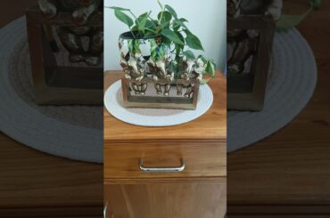 Dining table mat #unboxing #minivlog #homedecor #diningtablemat