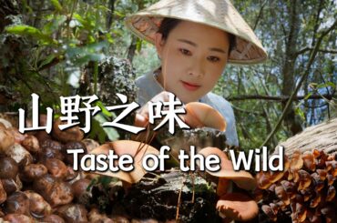 Taste of the Wild — Mountain Flavors of Yunnan After the Rain【滇西小哥】