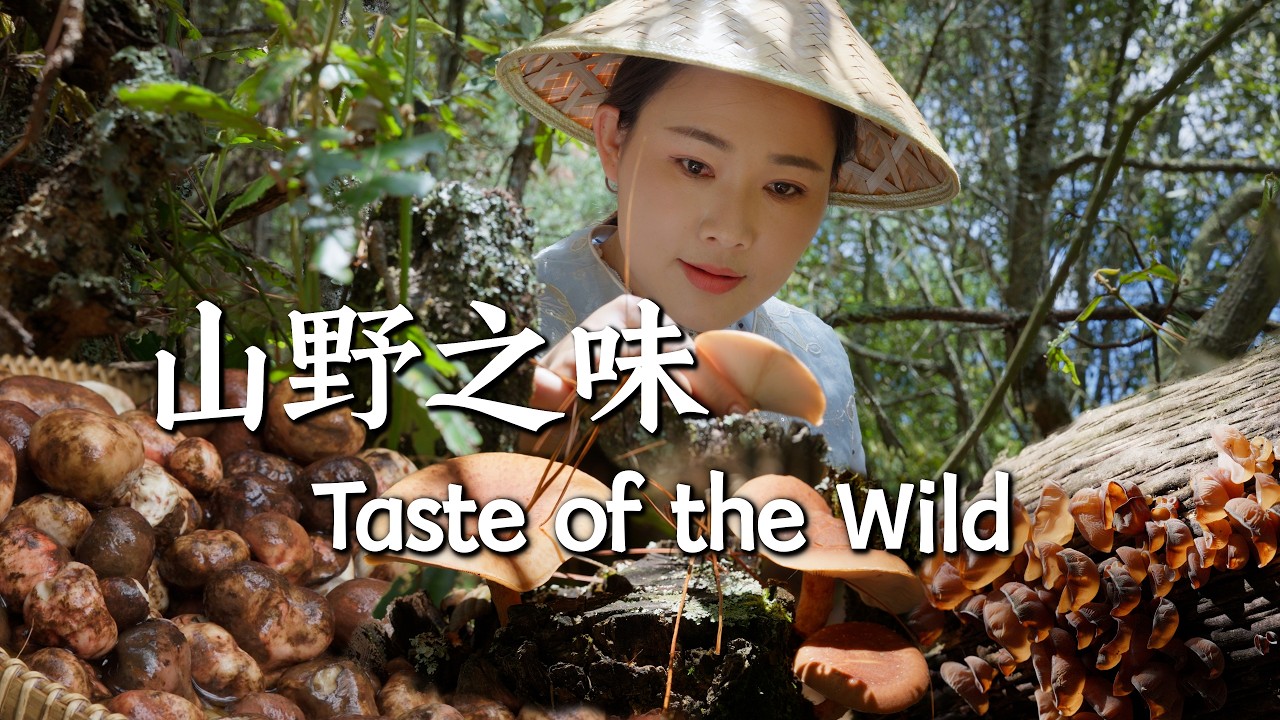 Taste of the Wild — Mountain Flavors of Yunnan After the Rain【滇西小哥】 Taste of the Wild — Mountain Flavors of Yunnan After the Rain【滇西小哥】