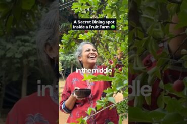 Bengaluru's Hidden Farm Dining Experience! Details👇