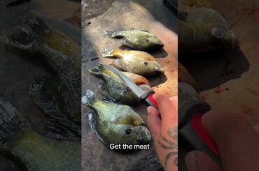 Cooking some bluegill #fishing #cooking #outdoors