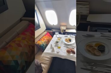This Is Airplane Food?! 🤯🍽️✈️