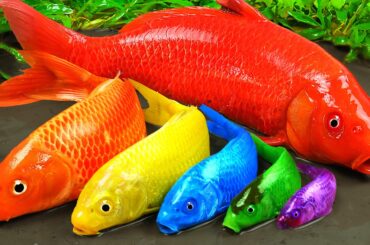 Best Of Small Fish Recipe | MINIATURE Fish Cooking Made EASY with Simple Recipe