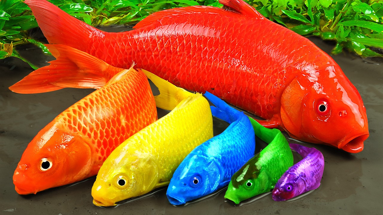 Best Of Small Fish Recipe | MINIATURE Fish Cooking Made EASY with Simple Recipe Best Of Small Fish Recipe | MINIATURE Fish Cooking Made EASY with Simple Recipe