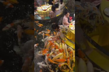 This Restaurant Built Dining Tables Inside a Koi Pond and Everyone Wants to Visit!