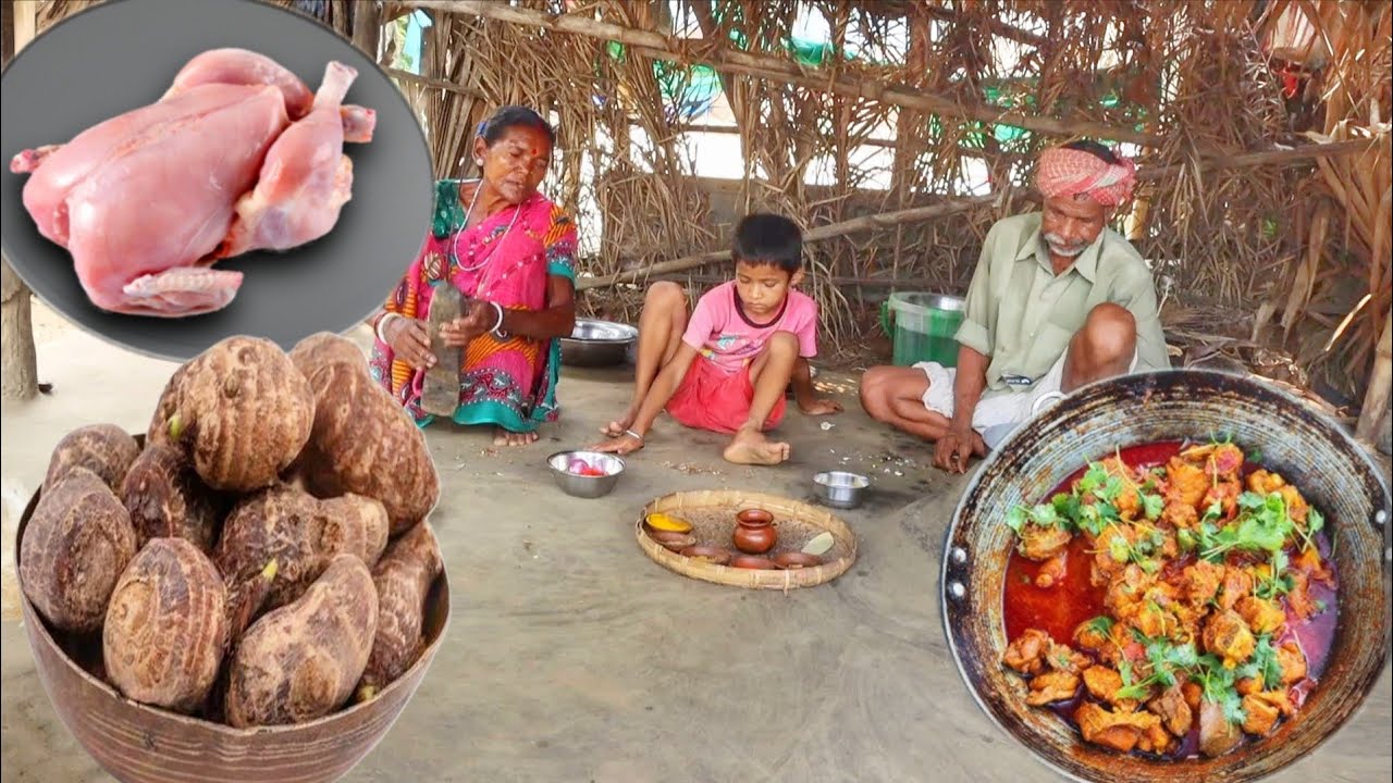 CHICKEN CURRY with TARO ROOT cooking for eating lunch by santali tribe old couple CHICKEN CURRY with TARO ROOT cooking for eating lunch by santali tribe old couple