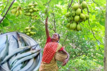 Santali grandmaa collect HOG PULM from tree and cooking with NIDDLE FISH for lunch