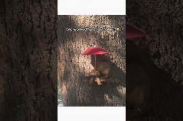got the 5-star dining experience 🙏🔥🐿️