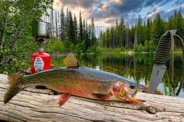 SOLO Hiking & Mountain Trout Fishing!! (Catch & Cook Movie)