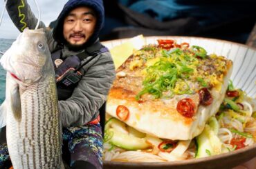 Big Striper Catch and Cook | Japanese cold noodle