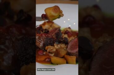 Fine Dining Secrets: How Chefs Cook Wagyu