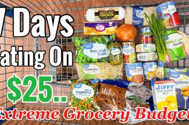I Turned $25 Into 7 Meals… Here’s What I Made!