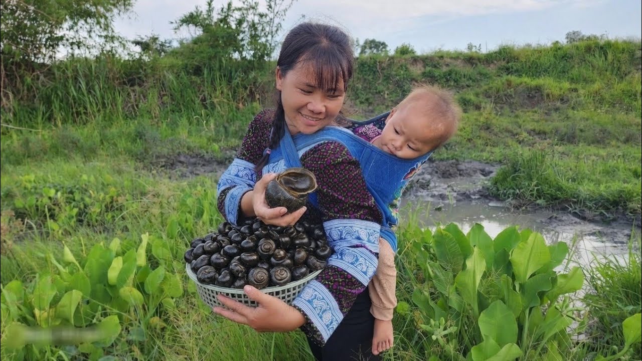 One day, I built a dining table and made a window, then went to catch snails for dinner. One day, I built a dining table and made a window, then went to catch snails for dinner.