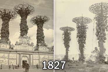 Why They Erased Every Unlimited Food Forest On Earth