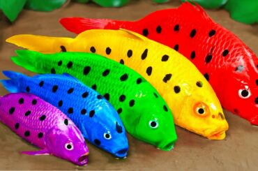 Best Of Small Fish Recipe | MINIATURE Fish Cooking Made EASY with Simple Recipe
