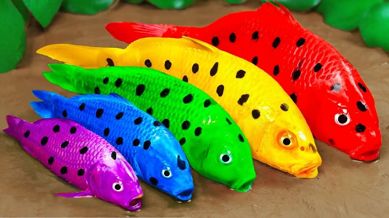 Best Of Small Fish Recipe | MINIATURE Fish Cooking Made EASY with Simple Recipe Best Of Small Fish Recipe | MINIATURE Fish Cooking Made EASY with Simple Recipe