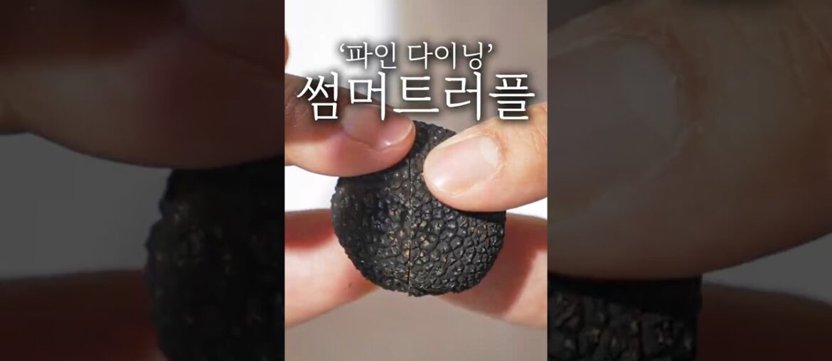 파인 다이닝 썸머트러플 플레이팅 #shorts