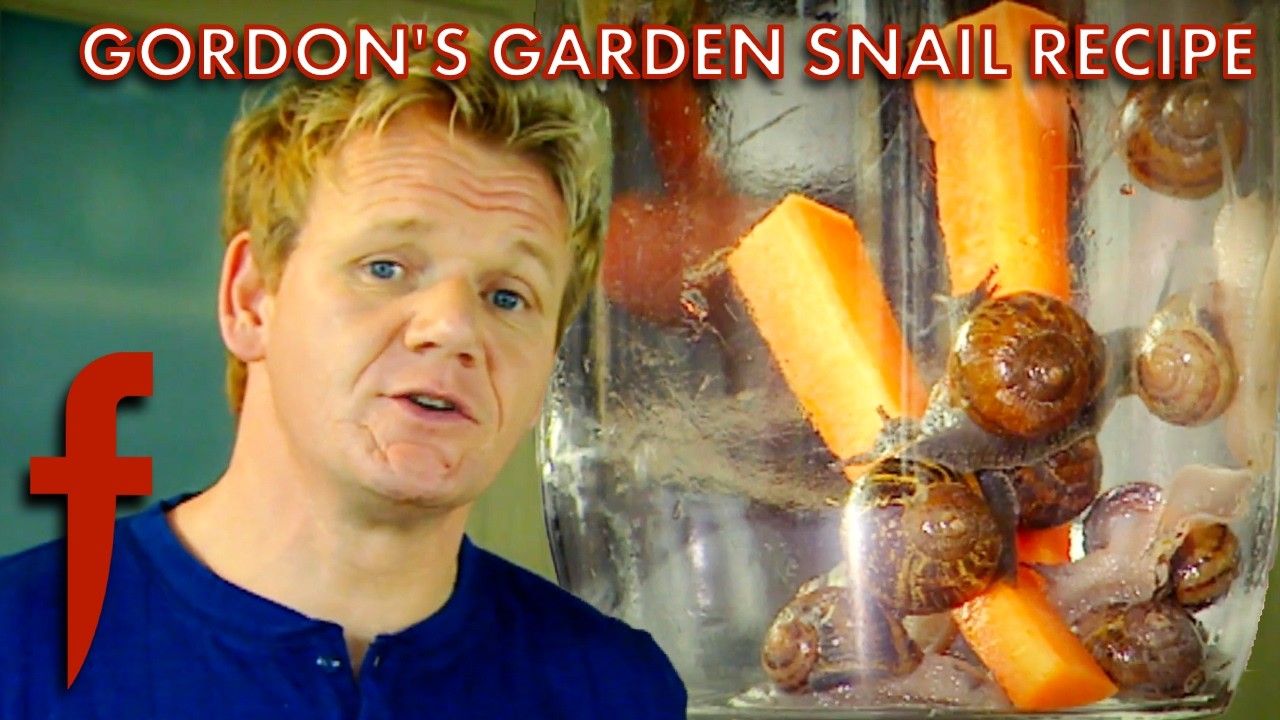 Gordon Shows You How To Cook Snails From Your Back Garden! | The F Word | Gordon Ramsay Gordon Shows You How To Cook Snails From Your Back Garden! | The F Word | Gordon Ramsay