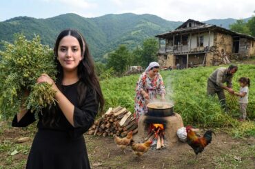IRAN village life; harvesting chickpeas and cooking them in the field