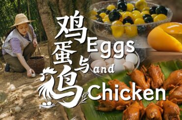 One Chicken, One Egg, and a Whole Table of Hometown Flavors｜Chicken and Egg Recipe Collection【滇西小哥】