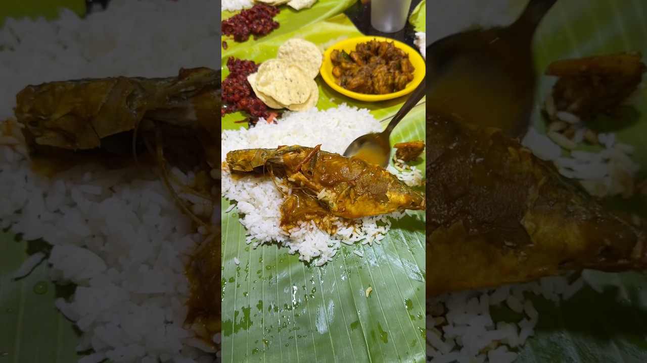 🐠Fish Meals saapuda polama..?😋 Famous seafood restaurant @sheerusdining 🐠Fish Meals saapuda polama..?😋 Famous seafood restaurant @sheerusdining