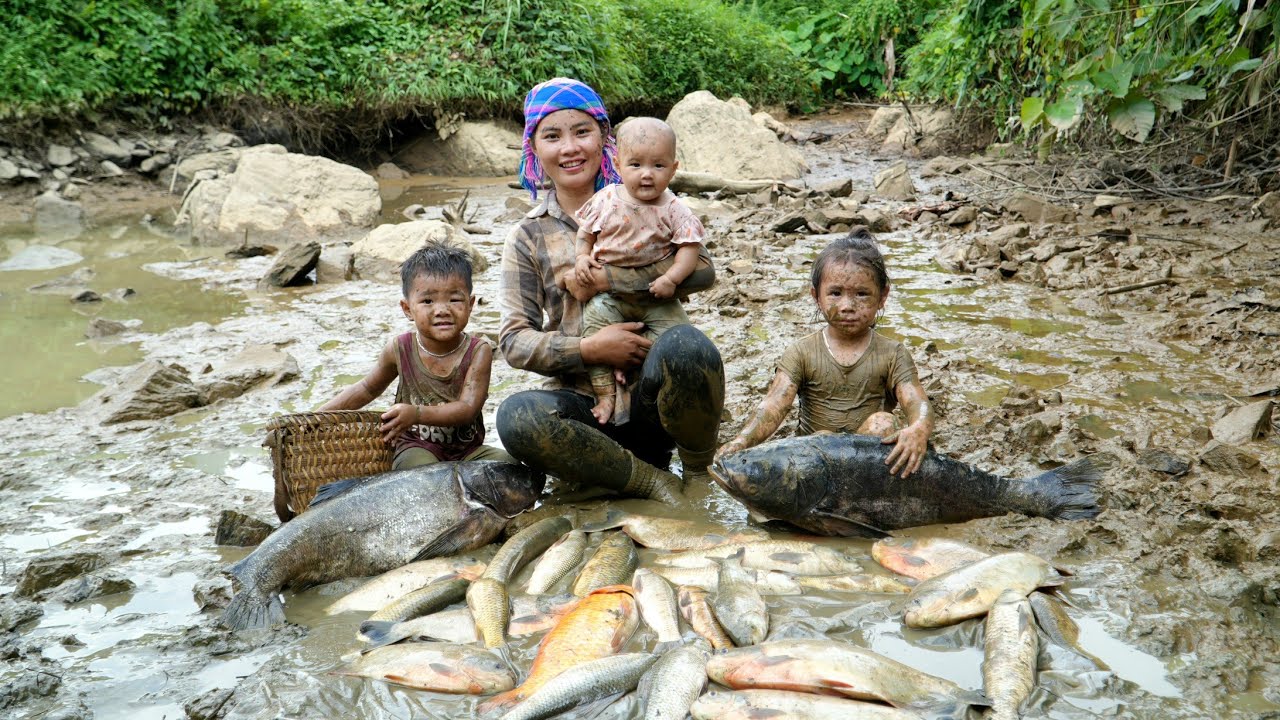 How to catch giant fish in a muddy pond to sell – Cooking chicken sticky rice for the kids How to catch giant fish in a muddy pond to sell – Cooking chicken sticky rice for the kids