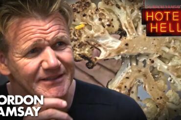 The Most DISGUSTING Food Gordon Has Tasted | COMPILATION | Hotel Hell