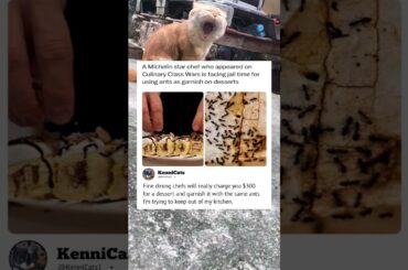 Fine dining chefs will really charge you $300