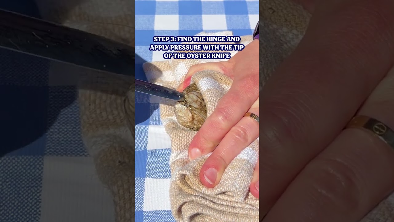 How to Shuck An Oyster How to Shuck An Oyster