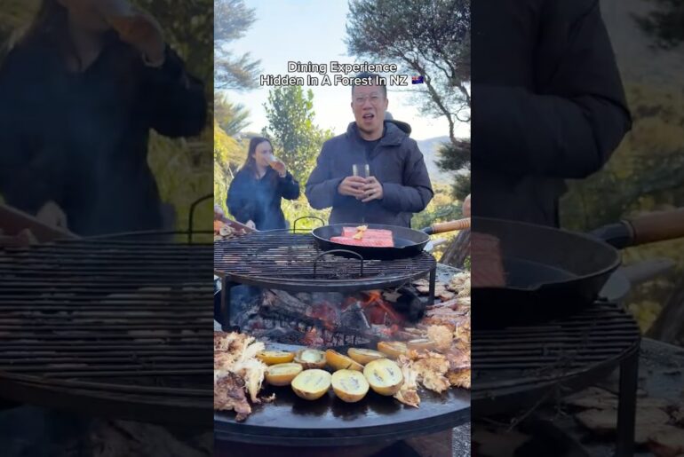 Dining Experience In A Forest (Velskov) In NZ 🇳🇿