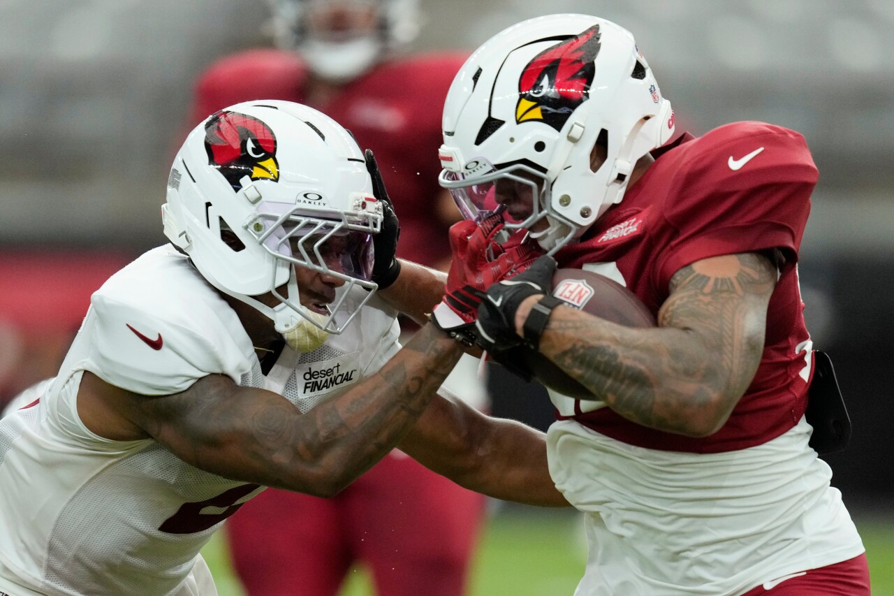 Arizona Cardinals Training Camp